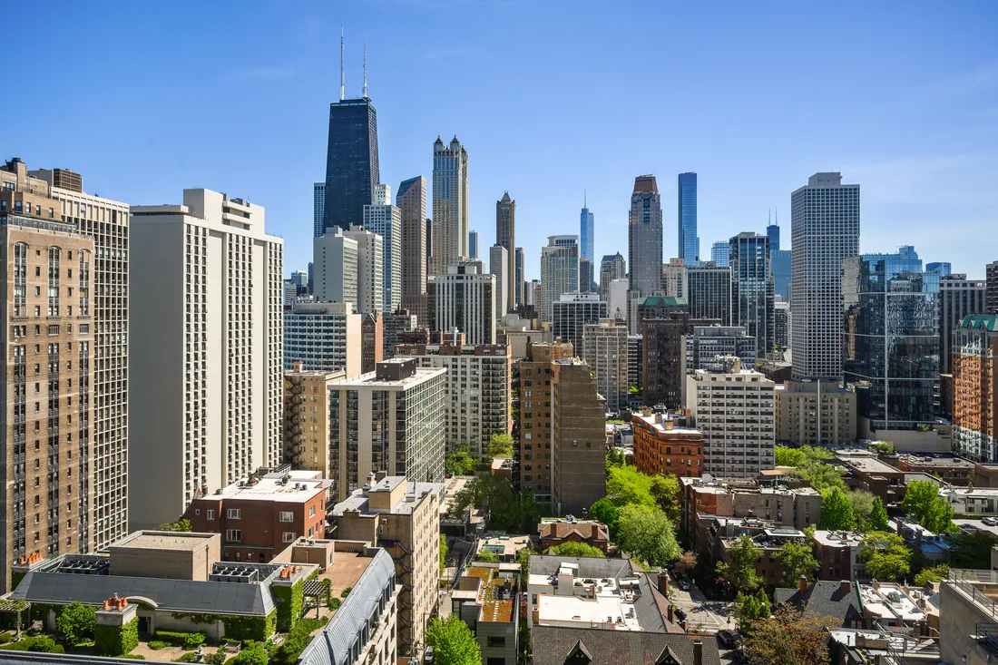 Chicago skyline above tree-lined city streets